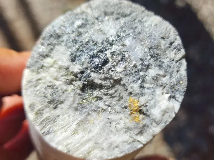 Exploration of Au, Ag, Cu, Ni, Co, Ch, PGE - Australia